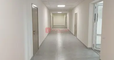 Commercial property 36 m² in Minsk, Belarus
