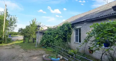 Appartement 2 chambres dans Klietsk, Bélarus