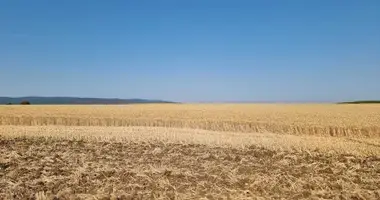 Appartement dans Tankovo, Bulgarie