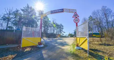 Grundstück in Holacki sielski Saviet, Belarus