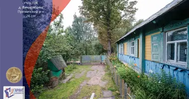Plot of land in Holacki sielski Saviet, Belarus