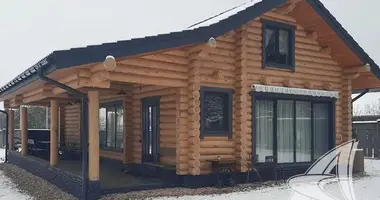 House in Dzmitrovicki sielski Saviet, Belarus