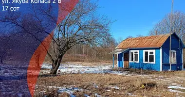 Plot of land in Zdanovicki sielski Saviet, Belarus