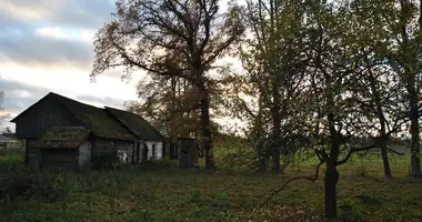 House in Kalvarija, Lithuania