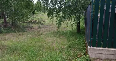 Plot of land in Astrosycki sielski Saviet, Belarus