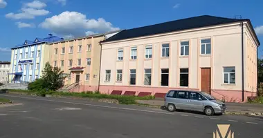 Manufacture 916 m² in Maladzyechna, Belarus