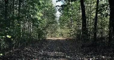 Plot of land in Trakiniai, Lithuania