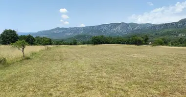 Parcela en Montenegro