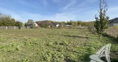 Terrain dans carnaucycki siel ski Saviet, Biélorussie