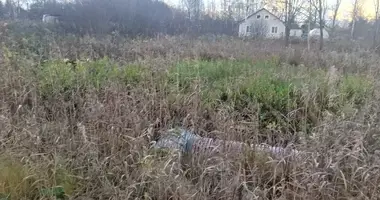 Terrain dans Gatchinskoe gorodskoe poselenie, Fédération de Russie