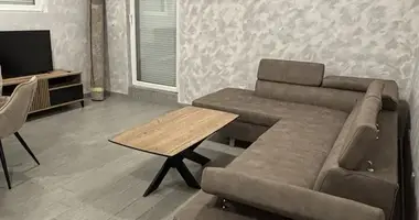Apartamento 1 habitacion en Montenegro