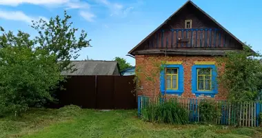 Haus in Usochabudski sielski Saviet, Belarus