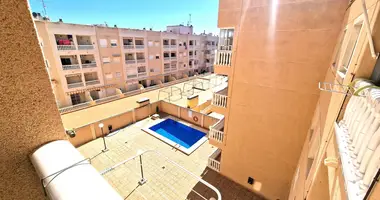 Mieszkanie 1 pokój w Torrevieja, Hiszpania