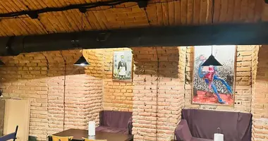 Commercial property 200 m² in Tbilisi, Georgia