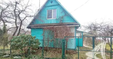 House in Telminski sielski Saviet, Belarus