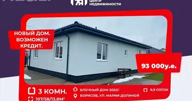 Casa de campo en Borisov, Bielorrusia