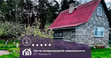 House in Starobinski sielski Saviet, Belarus