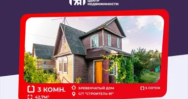 Dom w Miasocki siel ski Saviet, Białoruś