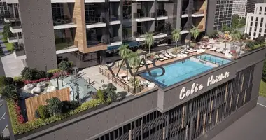 1 bedroom apartment in Dubai, United Arab Emirates