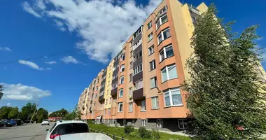 Apartamento 1 habitación en Villozskoe gorodskoe poselenie, Rusia