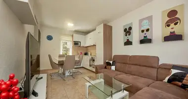 1 bedroom apartment in All countries