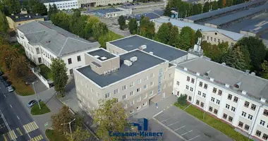 Commercial property 3 485 m² in Minsk, Belarus