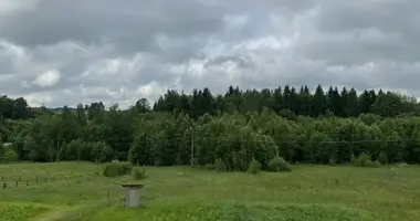 Maison dans Jzufouski sielski Saviet, Bélarus