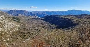 Apartment in Cetinje, Montenegro