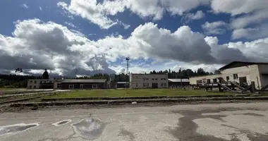 Commercial property in Kandavas pagasts, Latvia