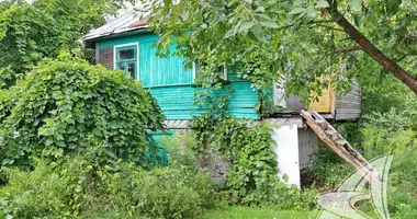 House in Muchaviecki sielski Saviet, Belarus