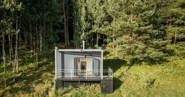 House in Elektrenai, Lithuania