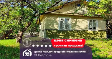 House in Ratamka, Belarus