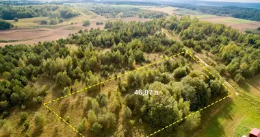 Plot of land in Laiciai, Lithuania