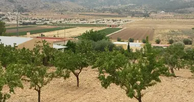Plot of land in el Fondo de les Neus Hondon de las Nieves, Spain
