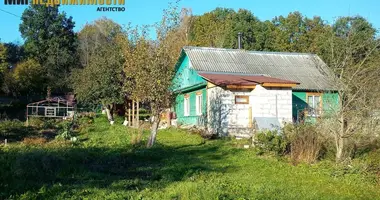 House in Krasnienski sielski Saviet, Belarus