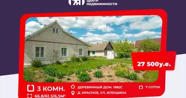 Дом в Красное, Беларусь