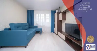 Appartement 1 chambre dans Chaciezyna, Bélarus