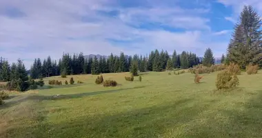 Plot of land in Kovacka Dolina, Montenegro