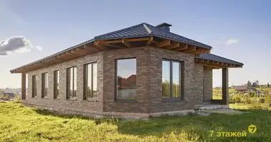 House in Zabalocki sielski Saviet, Belarus