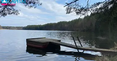 Дом в Капчяместис, Литва