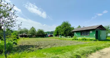 Parcela en Zodzinski sielski Saviet, Belarús