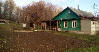 House in Krasnienski sielski Saviet, Belarus