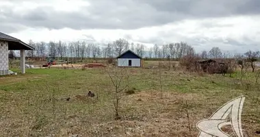 Grundstück in carnaucycki sielski Saviet, Weißrussland