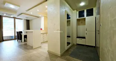 Apartamento 1 habitacion en Budva, Montenegro