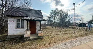 Plot of land in Bialarucki sielski Saviet, Belarus