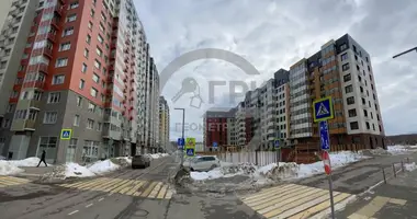 Apartment in Borodino, Russia