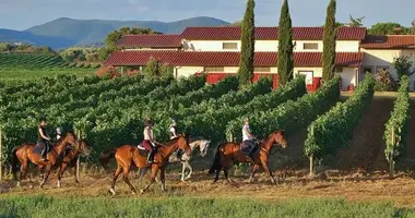 Propriété commerciale 900 m² dans Grosseto, Italie