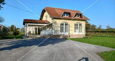 5 room house in Municipality of Draganić, Croatia