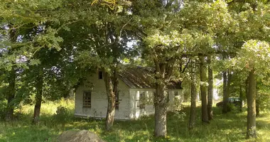 House in Hrauzyskouski sielski Saviet, Belarus