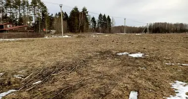 Terrain dans Syaskelevskoe selskoe poselenie, Fédération de Russie